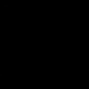 Meet your Posher, Jayden